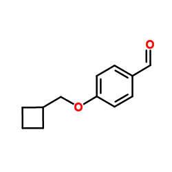 4-(Cyclobutylmethoxy)benzaldehyde结构式
