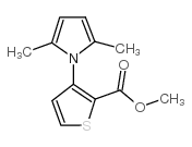 3-(2,5-二甲基-1H-吡咯-1-基)-2-噻吩羧酸甲酯结构式