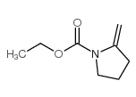 1-Pyrrolidinecarboxylicacid,2-methylene-,ethylester(9CI)结构式