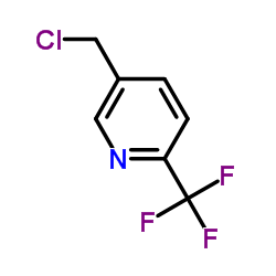 2-三氟甲基-5-氯甲基吡啶图片