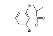 1,3-dibromo-2-tert-butylsulfonyl-5-methylbenzene结构式