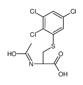 (2R)-2-acetamido-3-(2,3,5-trichlorophenyl)sulfanylpropanoic acid Structure