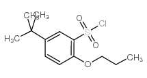 5-(叔丁基)-2-丙氧基苯-1-磺酰氯结构式