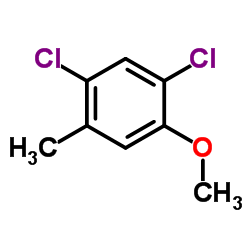 1,5-Dichloro-2-methoxy-4-methylbenzene结构式