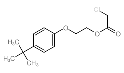 Acetic acid, 2-chloro-,2-[4-(1,1-dimethylethyl)phenoxy]ethyl ester structure