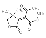 methyl 2-(4,4-dimethyl-2-oxo-oxolan-3-ylidene)-3-oxo-butanoate Structure