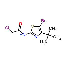 N-(5-Bromo-4-tert-butyl-1,3-thiazol-2-yl)-2-chloroacetamide Structure