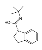 N-tert-butyl-2,3-dihydroindole-1-carboxamide结构式