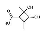 3,4-Dihydroxy-2,4-dimethyl-1-cyclobuten-carbonsaeure (cis) Structure