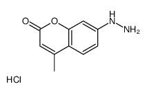7-hydrazinyl-4-methylchromen-2-one,hydrochloride结构式