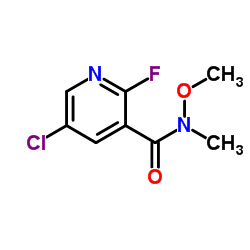 5-Chloro-2-fluoro-N-methoxy-N-methyl-3-pyridinecarboxamide picture