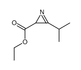 ethyl 3-propan-2-yl-2H-azirine-2-carboxylate结构式