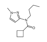 N-butyl-N-(1-methylpyrazol-3-yl)cyclobutanecarboxamide Structure