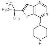 6-(tert-Butyl)-4-(piperazin-1-yl)thieno[3,2-d]pyrimidine Structure