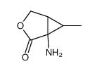 3-Oxabicyclo[3.1.0]hexan-2-one,1-amino-6-methyl-(9CI) structure