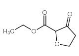 2-Furancarboxylicacid,tetrahydro-3-oxo-,ethylester(9CI) Structure