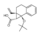 1-tert-Butoxy-6-ethenylbenzobicyclo<4.1.0>heptan-endo-7-carbonsaeure结构式