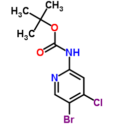 2-Methyl-2-propanyl (5-bromo-4-chloro-2-pyridinyl)carbamate结构式