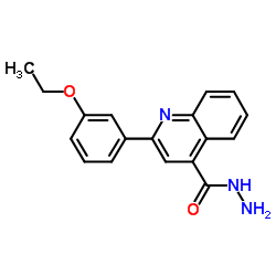 2-(3-Ethoxyphenyl)-4-quinolinecarbohydrazide结构式