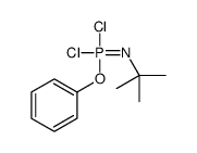 tert-butylimino-dichloro-phenoxy-λ5-phosphane结构式