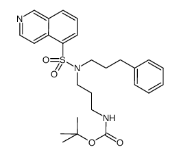 N-(tert-butoxycarbonyl)-N'-[(5-isoquinolyl)sulfonyl]-N'-(3-phenylpropyl)-1,3-propylenediamine结构式
