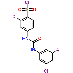 2-CHLORO-4-[3-(3,5-DICHLORO-PHENYL)-UREIDO]-BENZENESULFONYL CHLORIDE Structure