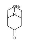 9-Methyl-7-oxa-9-azabicyclo[3.3.1]nonan-3-one Structure