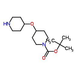 4-(哌啶-4-氧基)哌啶-1-甲酸叔丁酯结构式