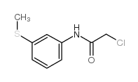 2-chloro-N-(3-methylsulfanylphenyl)acetamide Structure