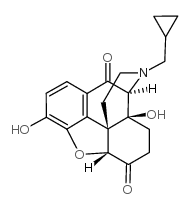 10-酮基纳曲酮结构式