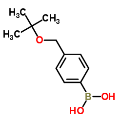 4-(叔丁氧基甲基)苯基硼酸图片