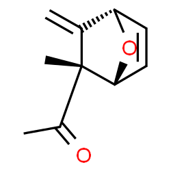 Ethanone, 1-(2-methyl-3-methylene-7-oxabicyclo[2.2.1]hept-5-en-2-yl)-, endo-结构式