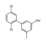 3-(2,5-dichlorophenyl)-5-methylphenol Structure