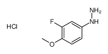 (3-FLUORO-4-METHOXY-PHENYL)-HYDRAZINE HYDROCHLORIDE结构式