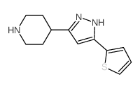4-[5-(2-THIENYL)-1H-PYRAZOL-3-YL]PIPERIDINE picture