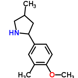 Pyrrolidine, 2-(4-methoxy-3-methylphenyl)-4-methyl- (9CI) Structure