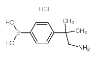 (4-(1-Amino-2-methylpropan-2-yl)phenyl)boronic acid hydrochloride Structure