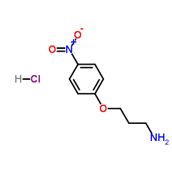 3-(4-nitro-phenoxy)-propylamine, hydrochloride结构式