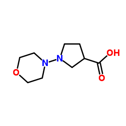 1-(4-Morpholinyl)-3-pyrrolidinecarboxylic acid结构式