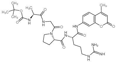 boc-ala-gly-pro-arg-7-amino-4-methylcoumarin picture