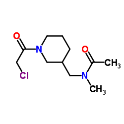 N-{[1-(Chloroacetyl)-3-piperidinyl]methyl}-N-methylacetamide Structure