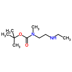 2-Methyl-2-propanyl [2-(ethylamino)ethyl]methylcarbamate结构式