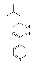 N'-(4-methylpentan-2-yl)pyridine-4-carbohydrazide结构式