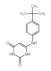 6-[(4-tert-butylphenyl)amino]-1H-pyrimidine-2,4-dione结构式
