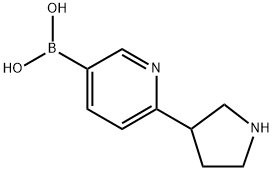 (6-(pyrrolidin-3-yl)pyridin-3-yl)boronic acid结构式