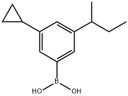 3-Cyclopropyl-5-(sec-butyl)phenylboronic acid图片
