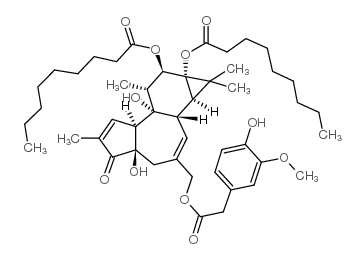 pdnhv structure