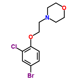 4-[2-(4-Bromo-2-chlorophenoxy)ethyl]morpholine Structure