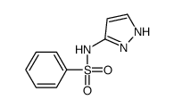 Benzenesulfonamide, N-1H-pyrazol-3-yl- (9CI) structure