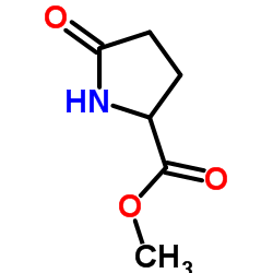 Methyl DL-pyroglutamate structure